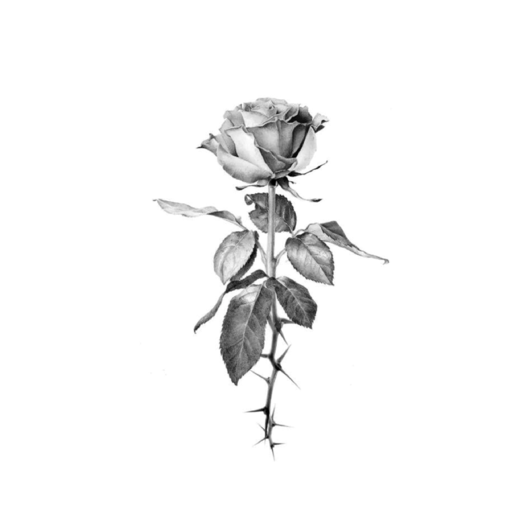 "Rose"