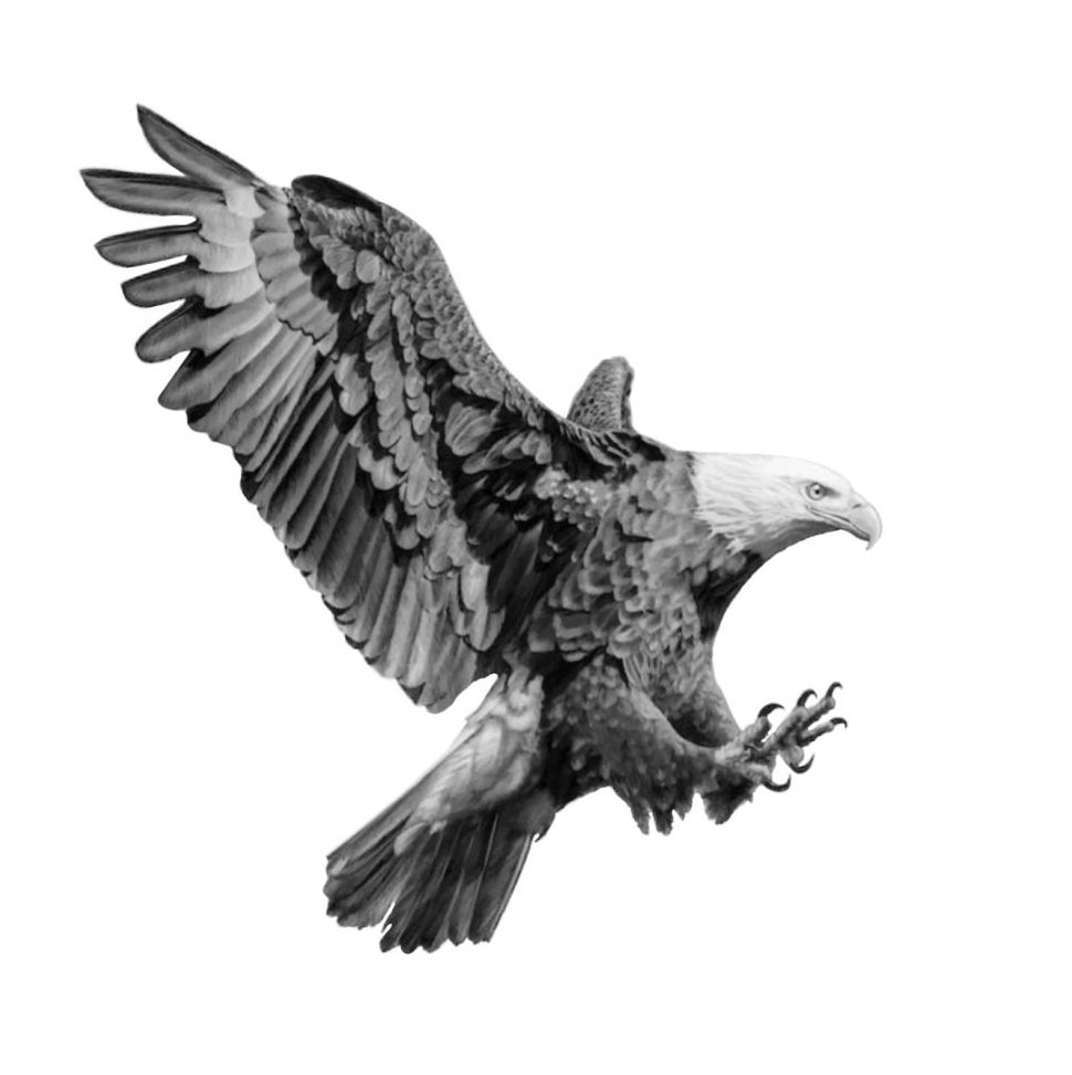 "Der Adler"