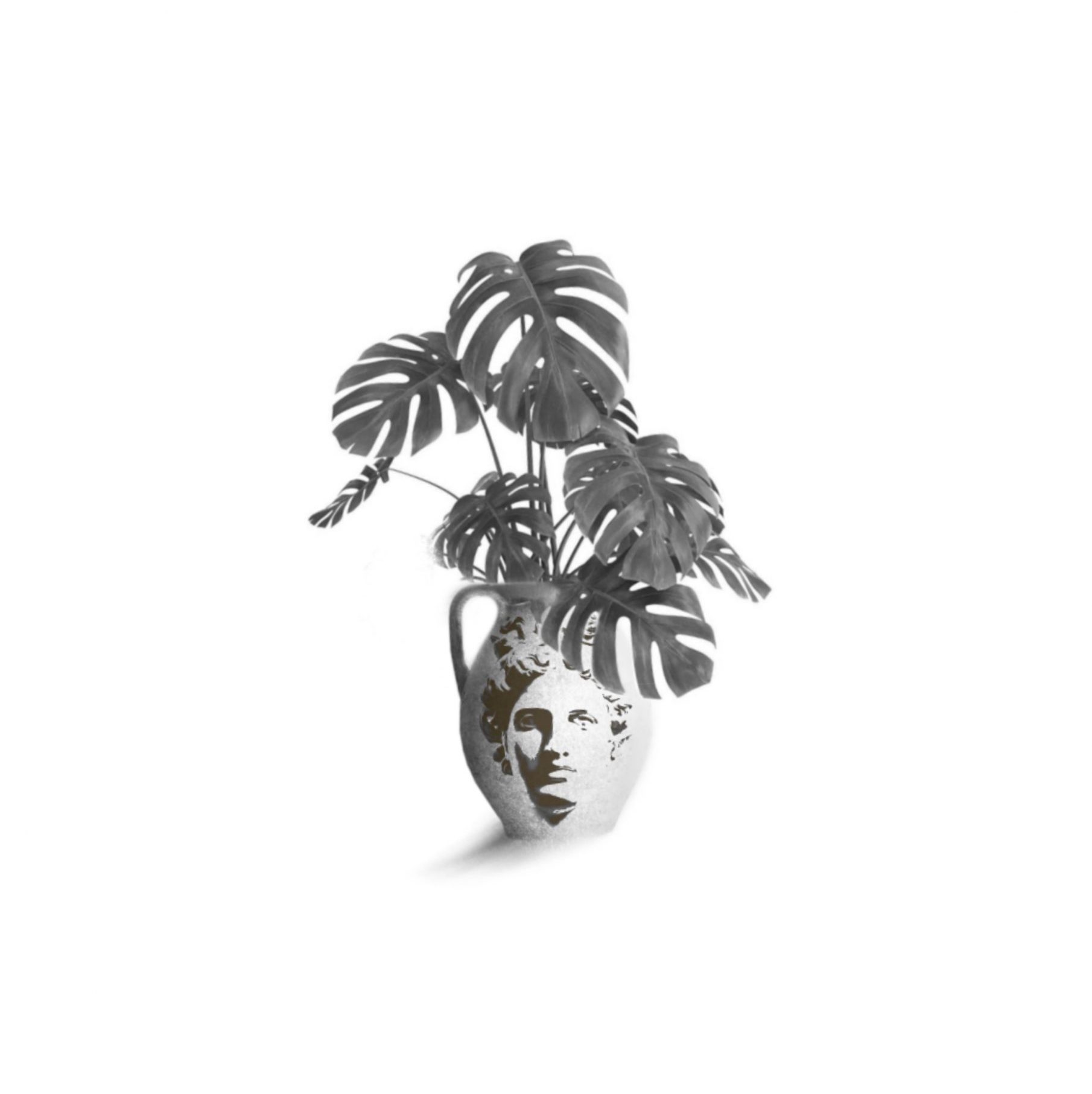 "Plant with Face"