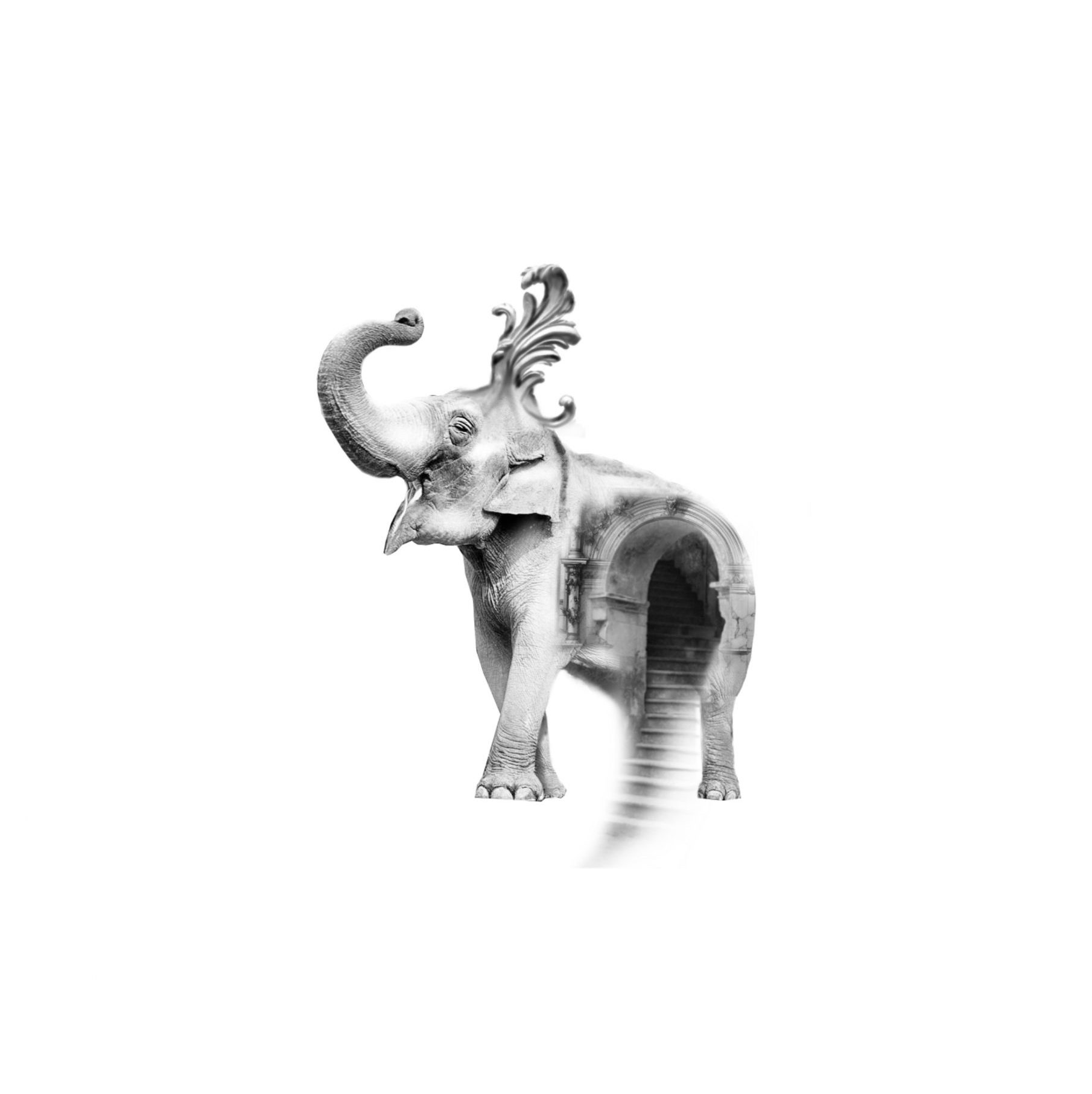 "Elefant"