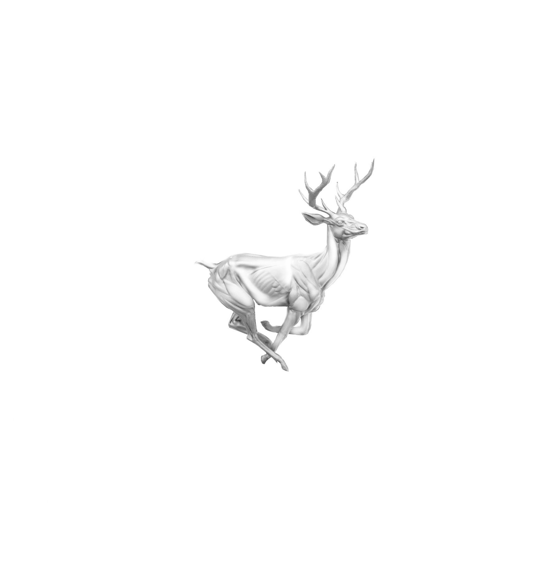 "Running Deer"