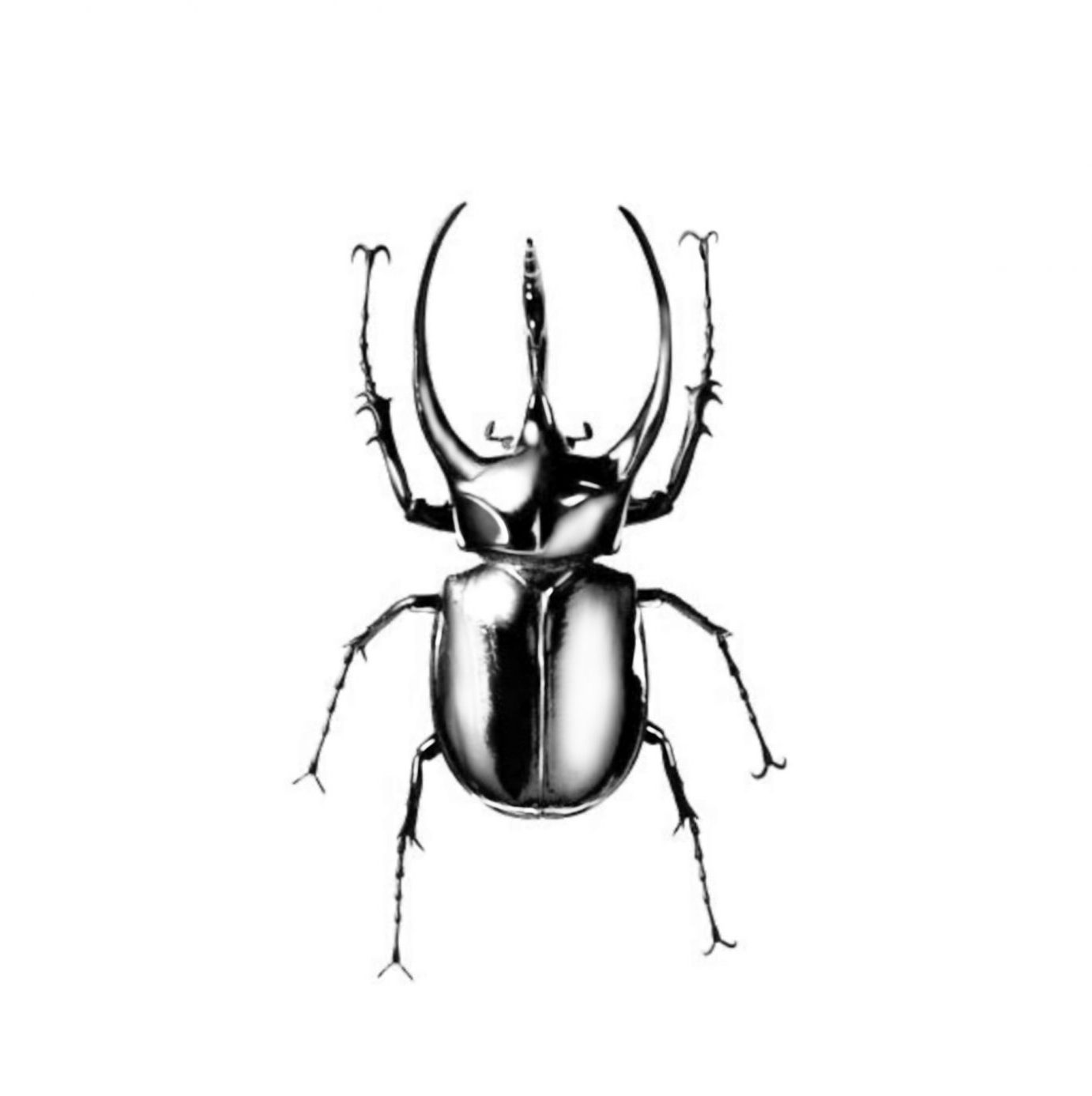 "Bug"