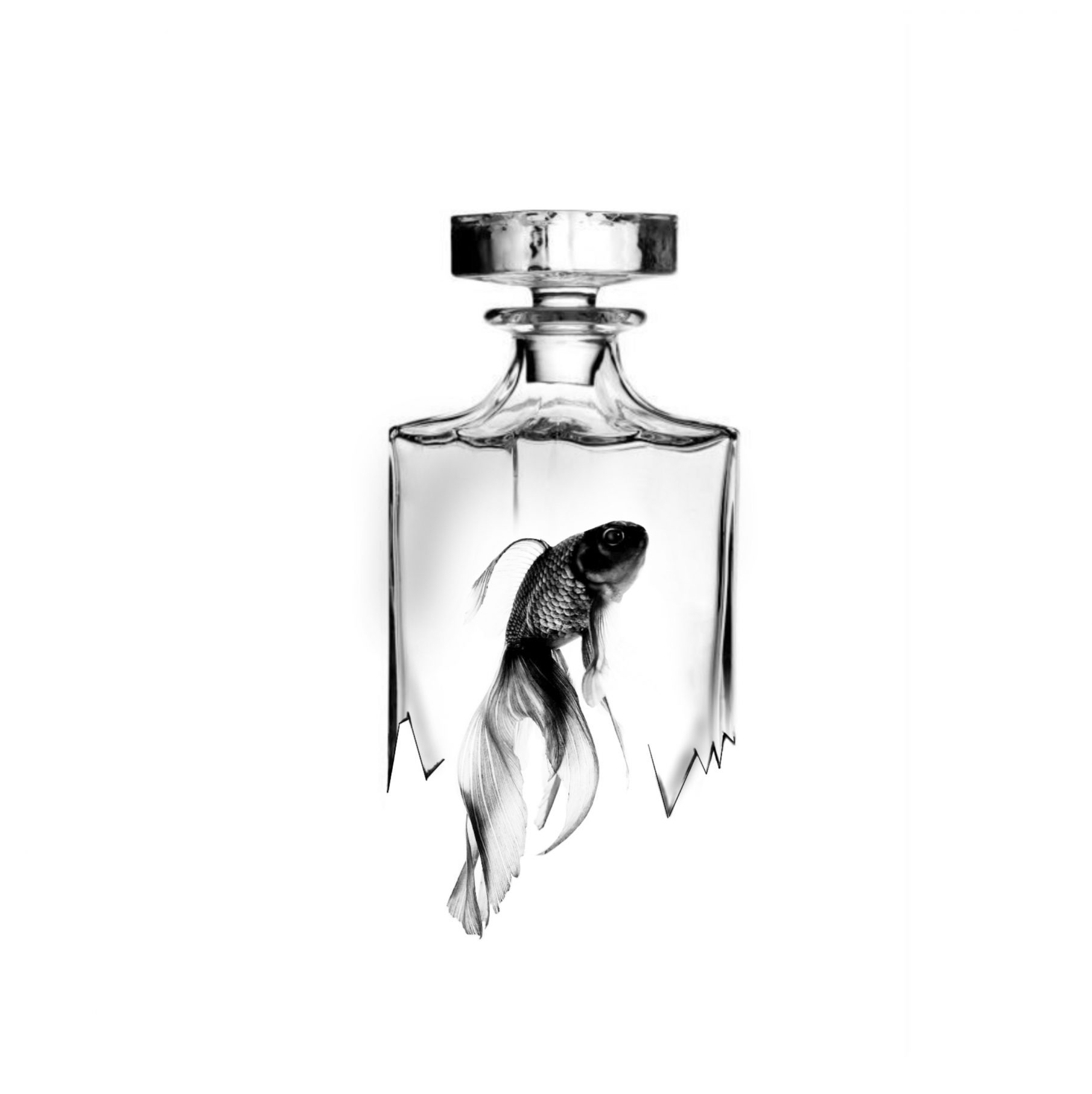 "Bottled Fish"