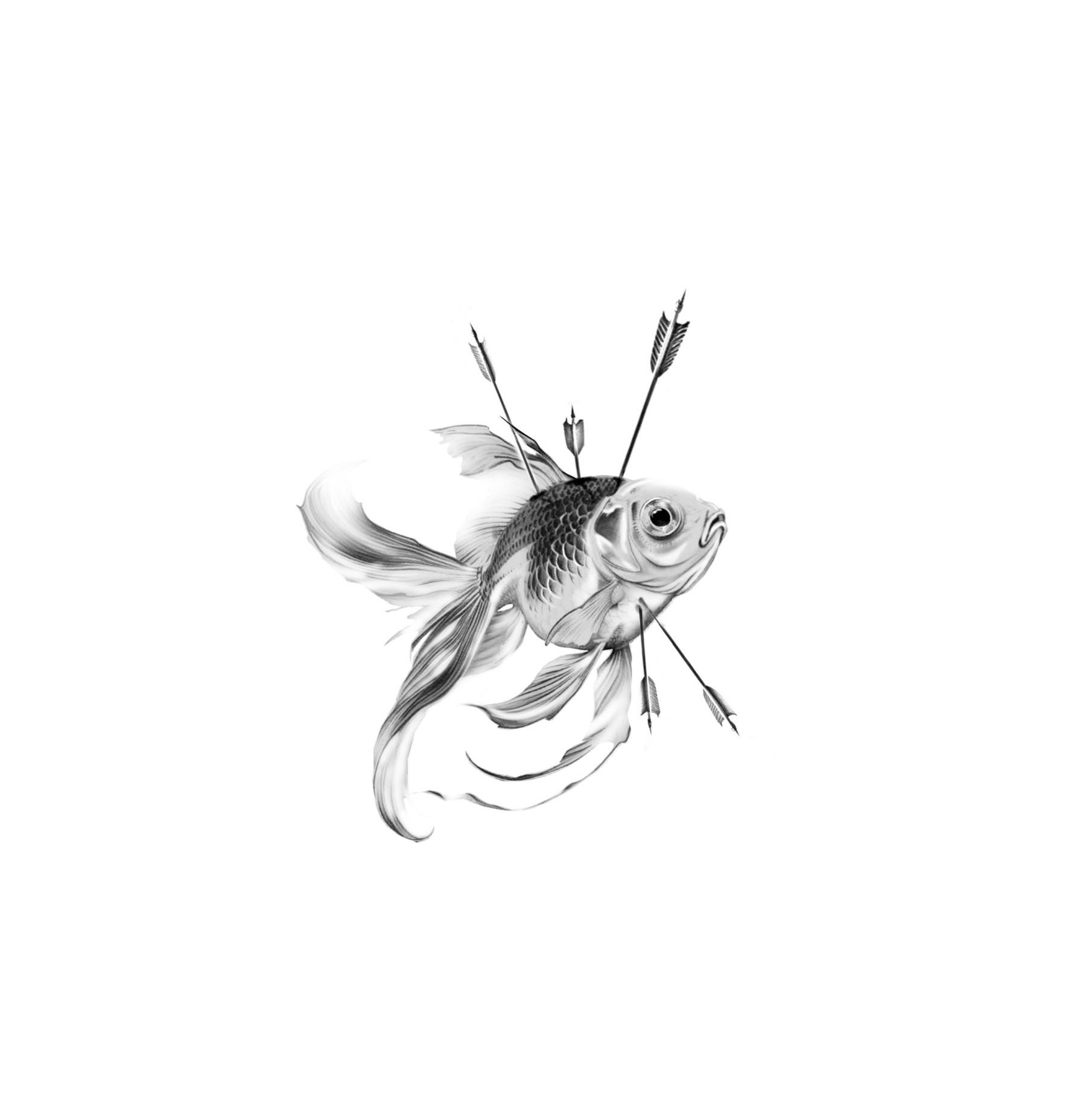 "Gold Fish"