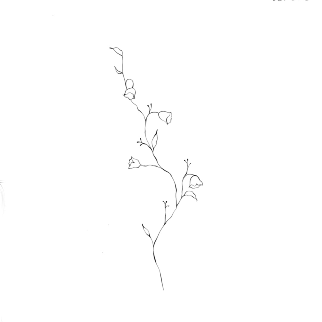 "Plant"