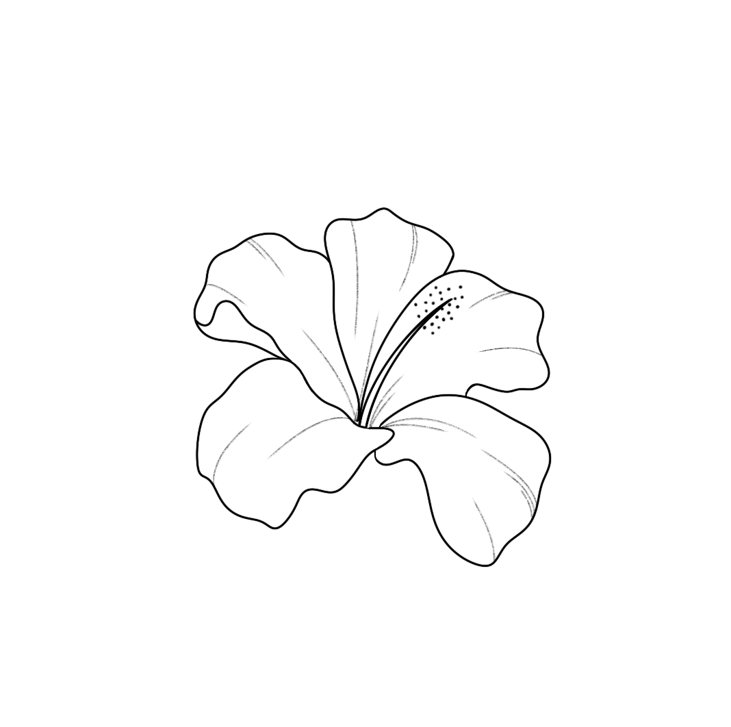 "Hibiskus"