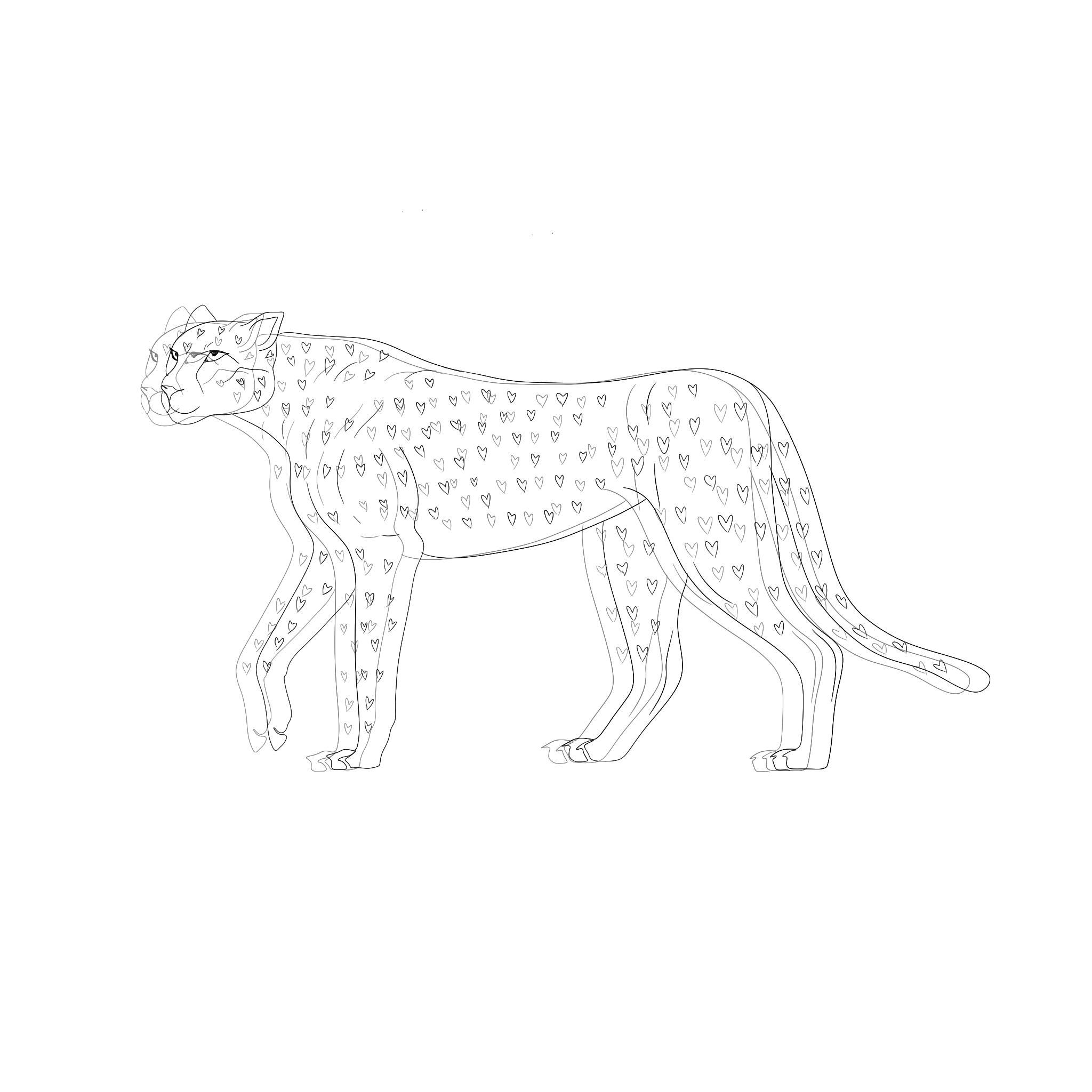 "Cheetah"