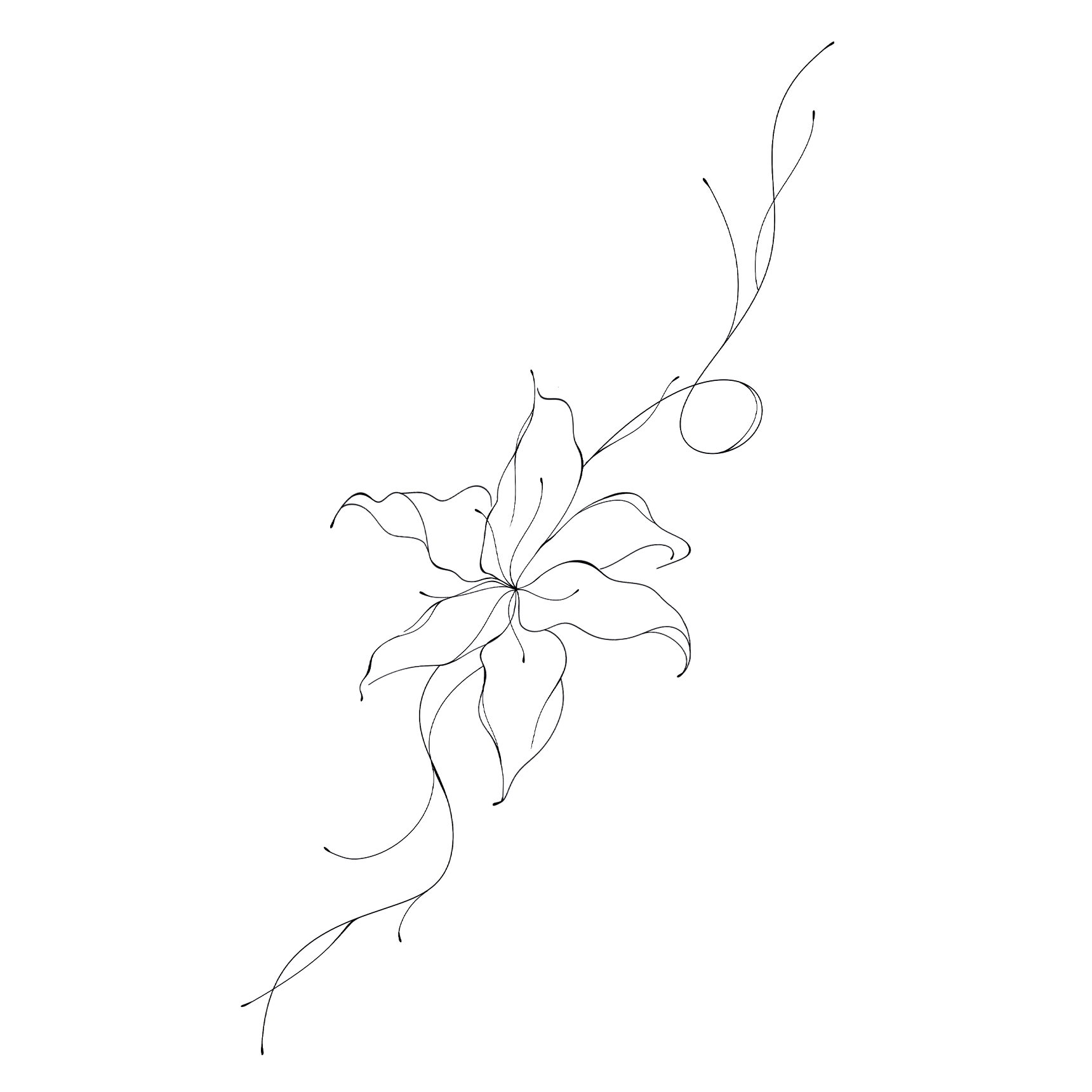 "Abstract Flower"
