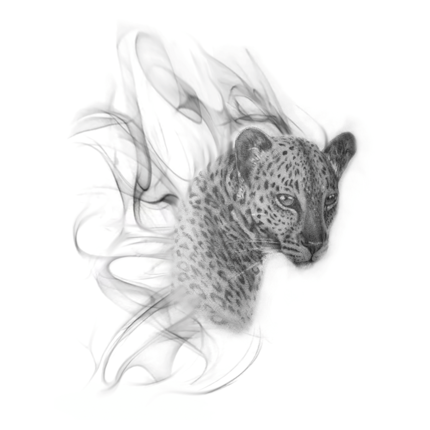 "Leopard 'n Smoke"