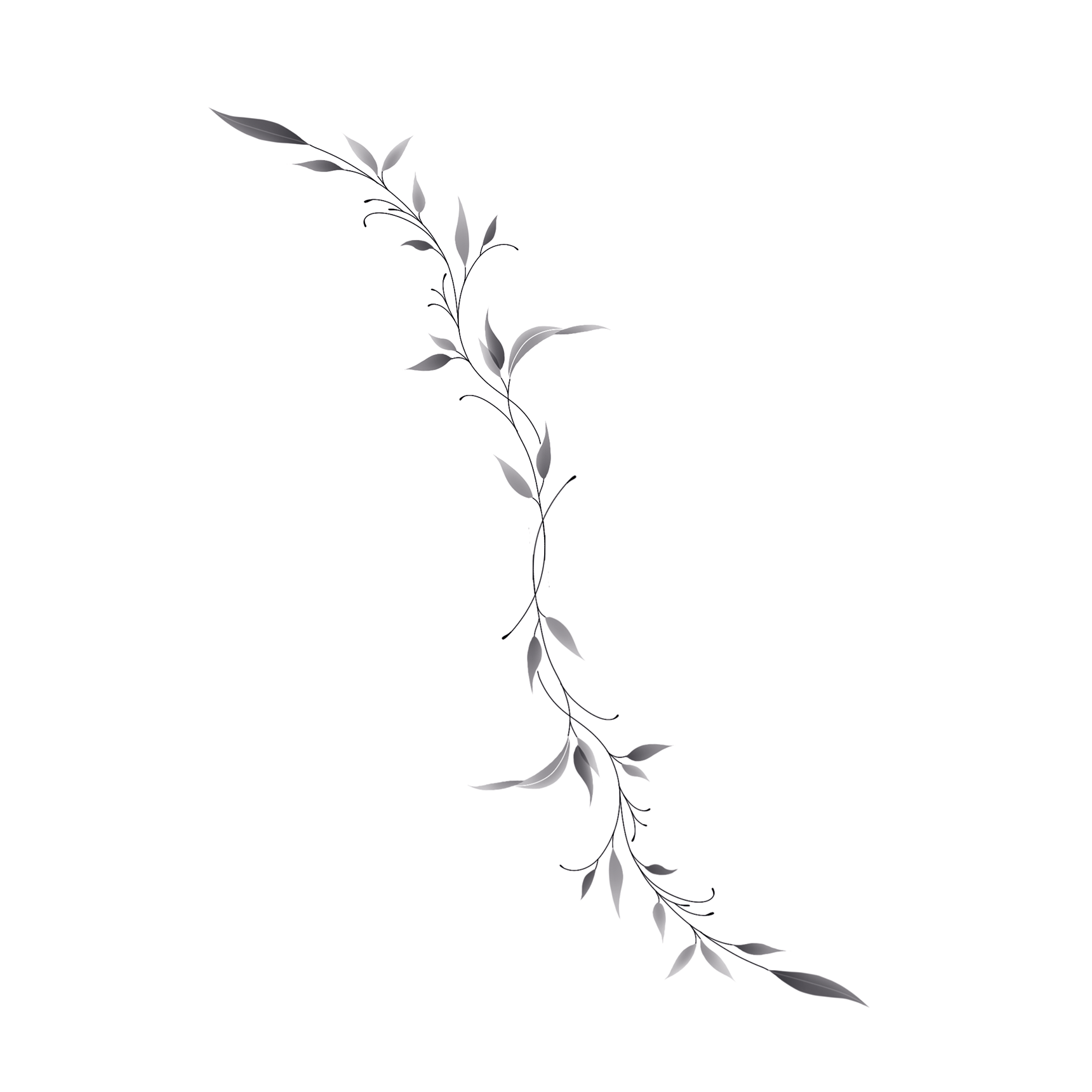 "Vine"
